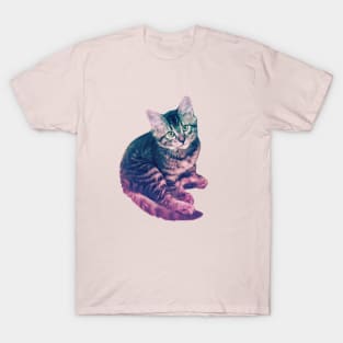 Kitten T-Shirt